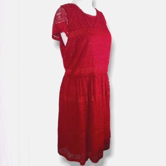 Alya Women's Red Floral Lace Short Sleeve Pleated A-Line Mini Dress Size Large - Picture 4 of 13